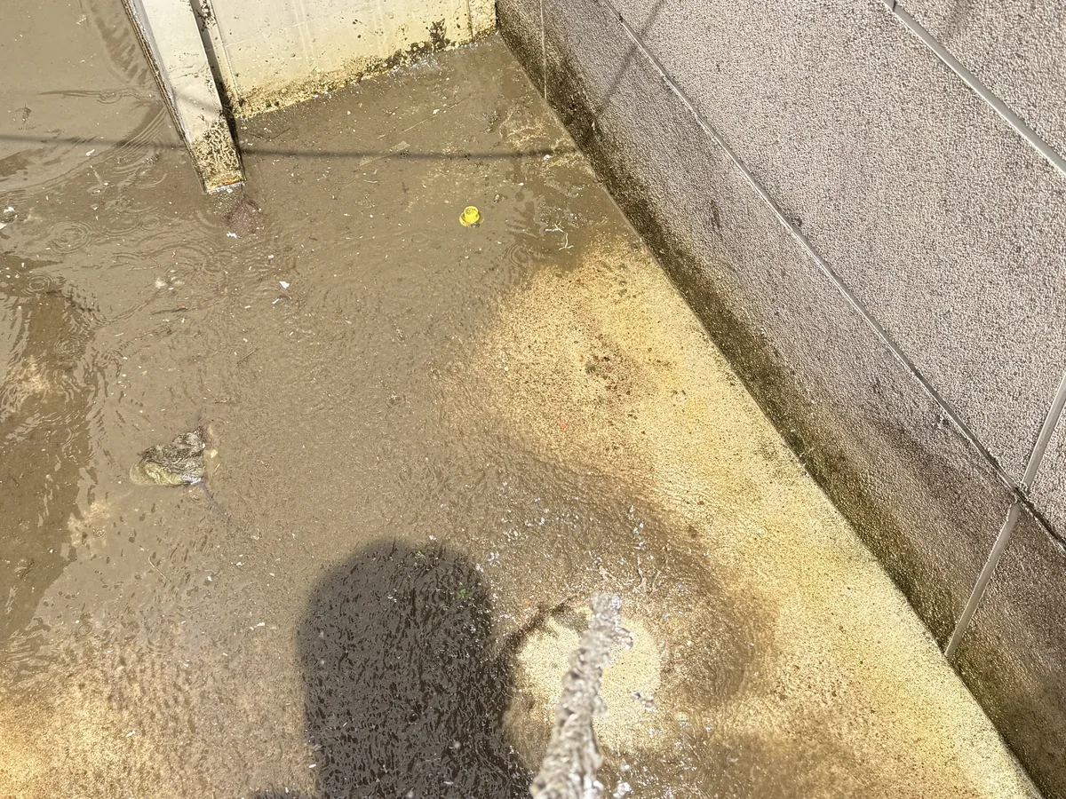 거창군 가북면 침수 현장 복도·대기 동선 야간 위생청소 사례 - 행진크린